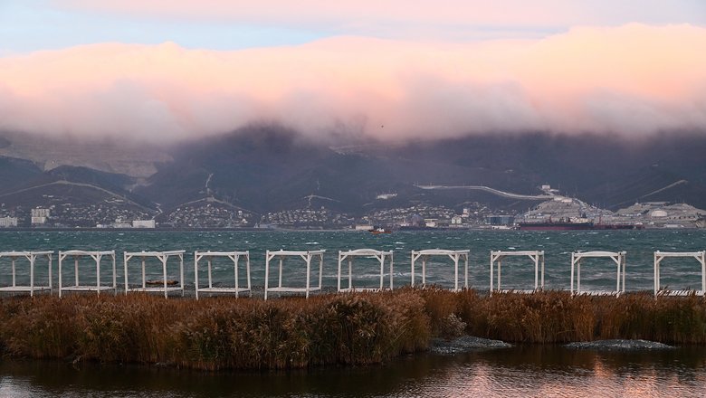 Главные новости к вечеру 25 ноября 2025 года